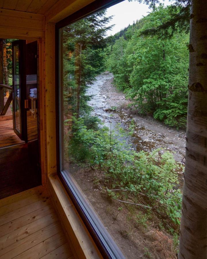 Novosiele Residence - Nad Gorska Rzeka - Lesne Spa Sauna Jacuzzi - Bieszczady Bystre  외부 사진
