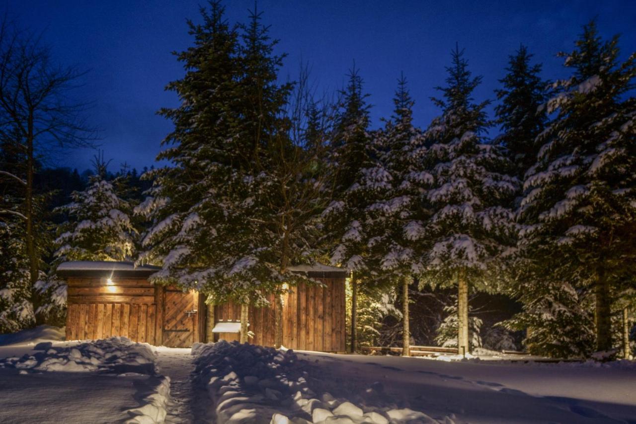 Novosiele Residence - Nad Gorska Rzeka - Lesne Spa Sauna Jacuzzi - Bieszczady Bystre  외부 사진